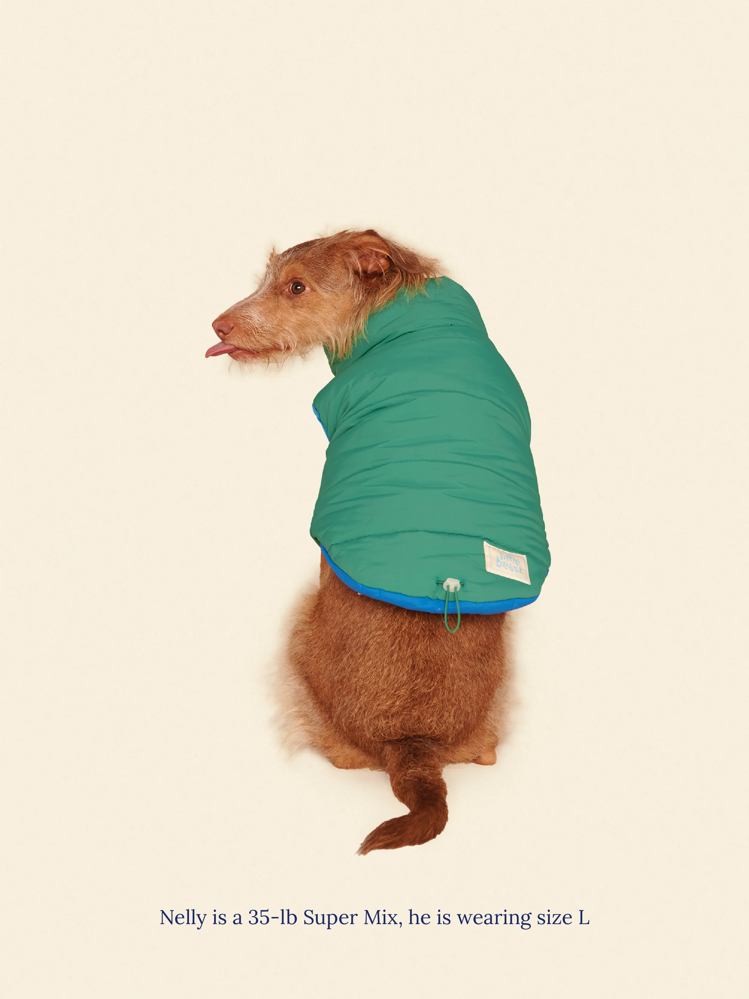 Product image 14