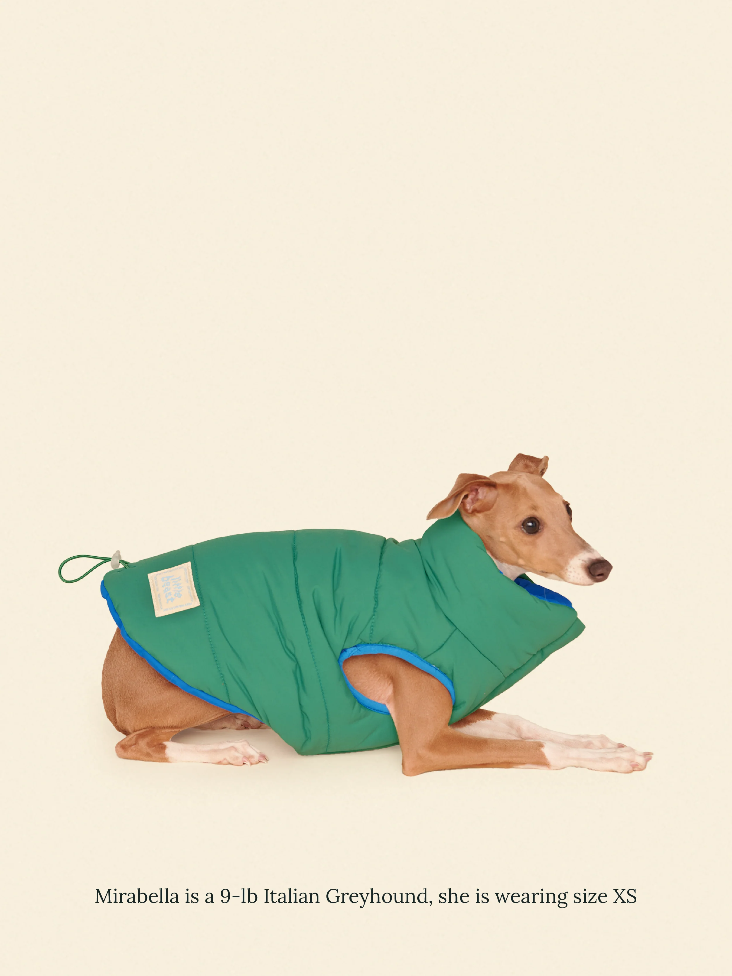 Product image 15