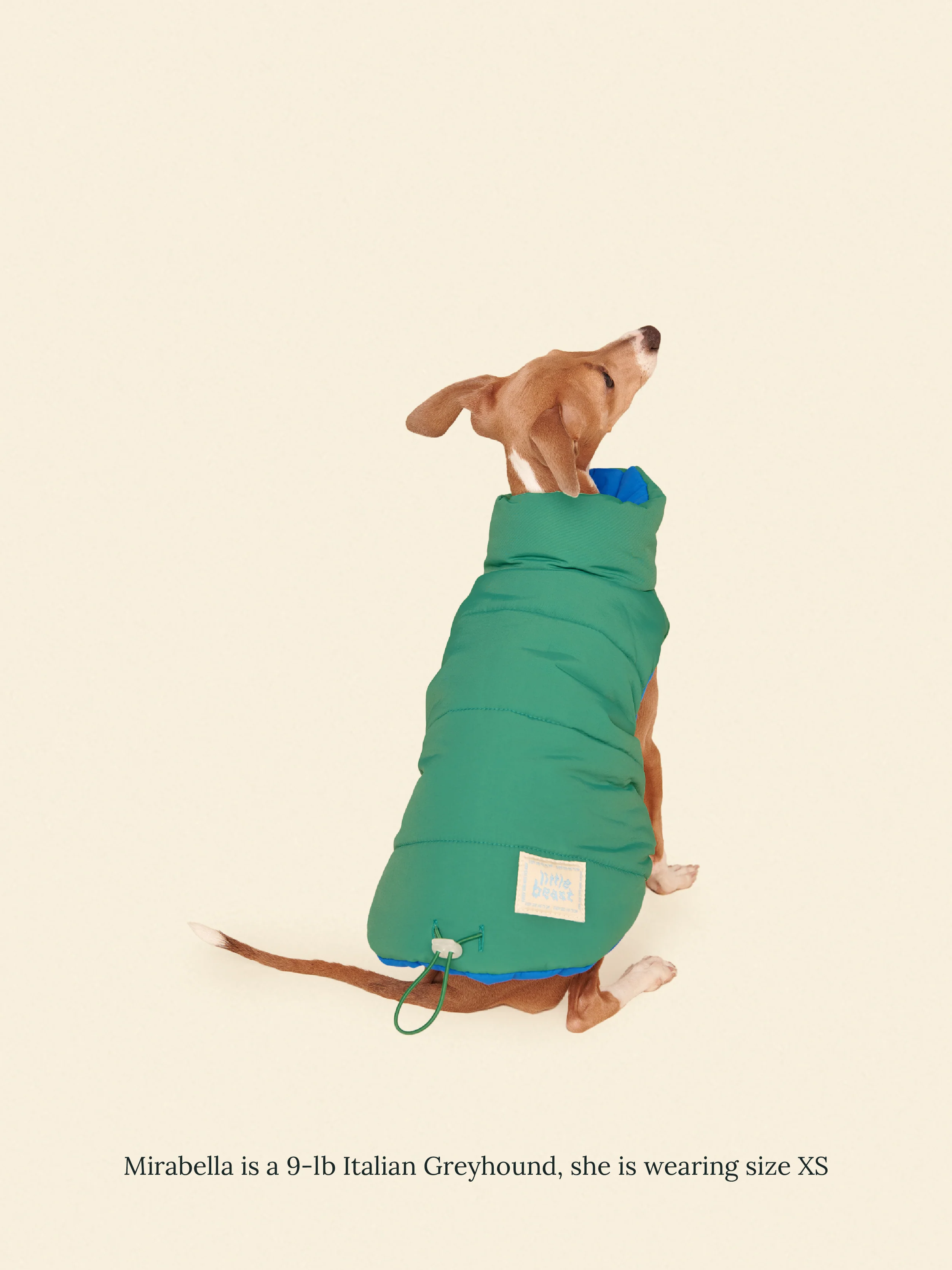 Product image 16