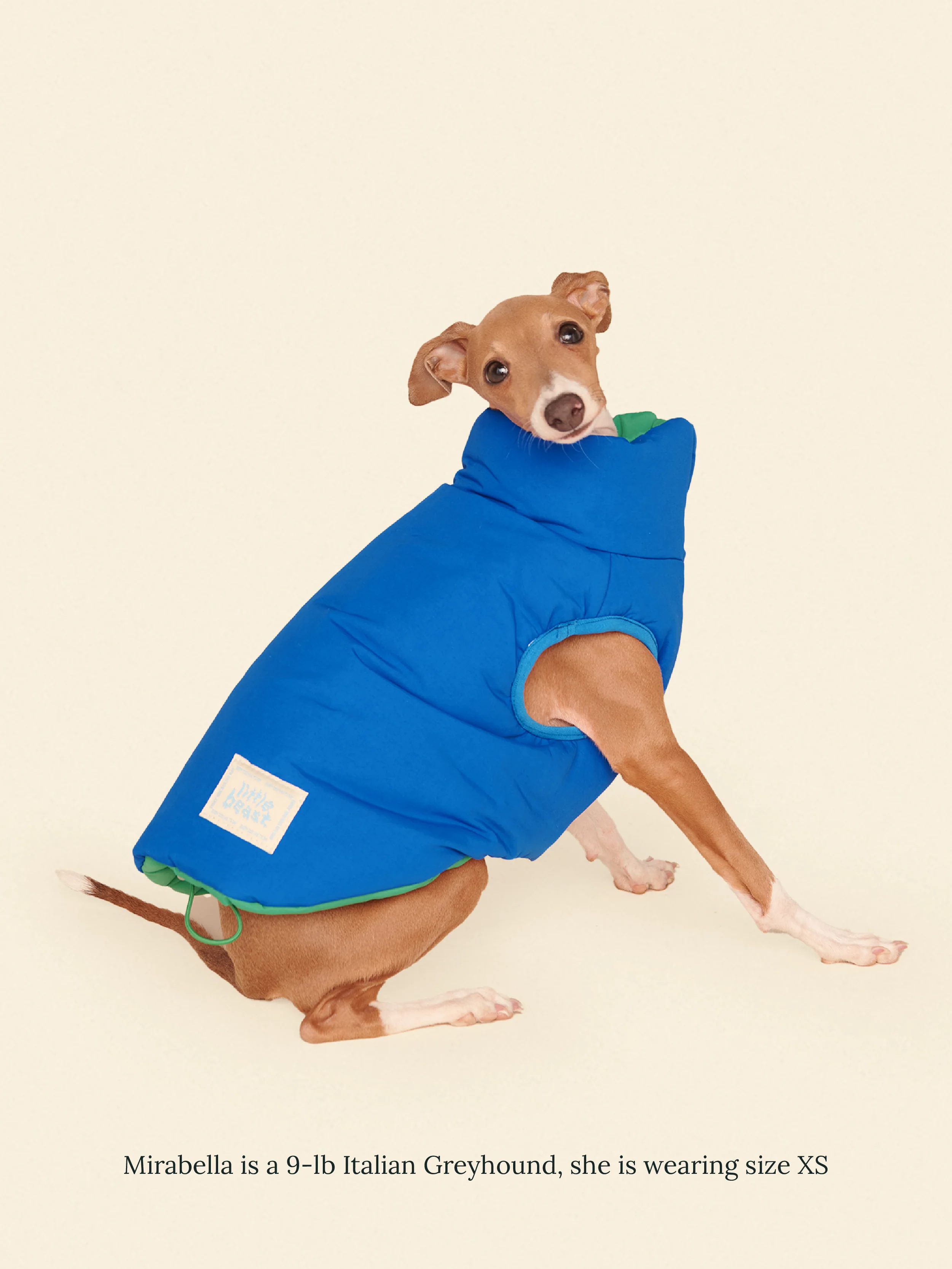 Product image 17