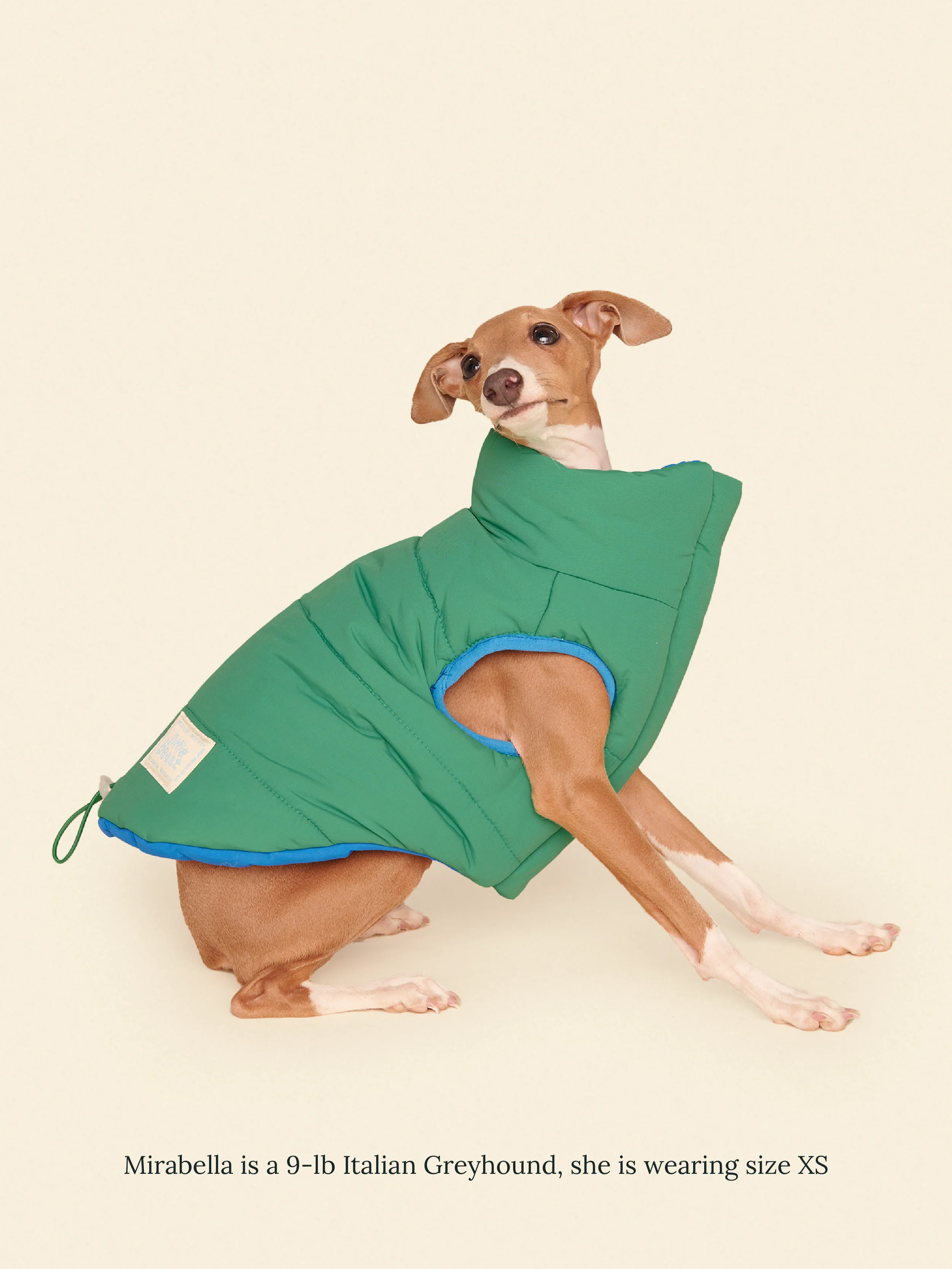 Product image 18