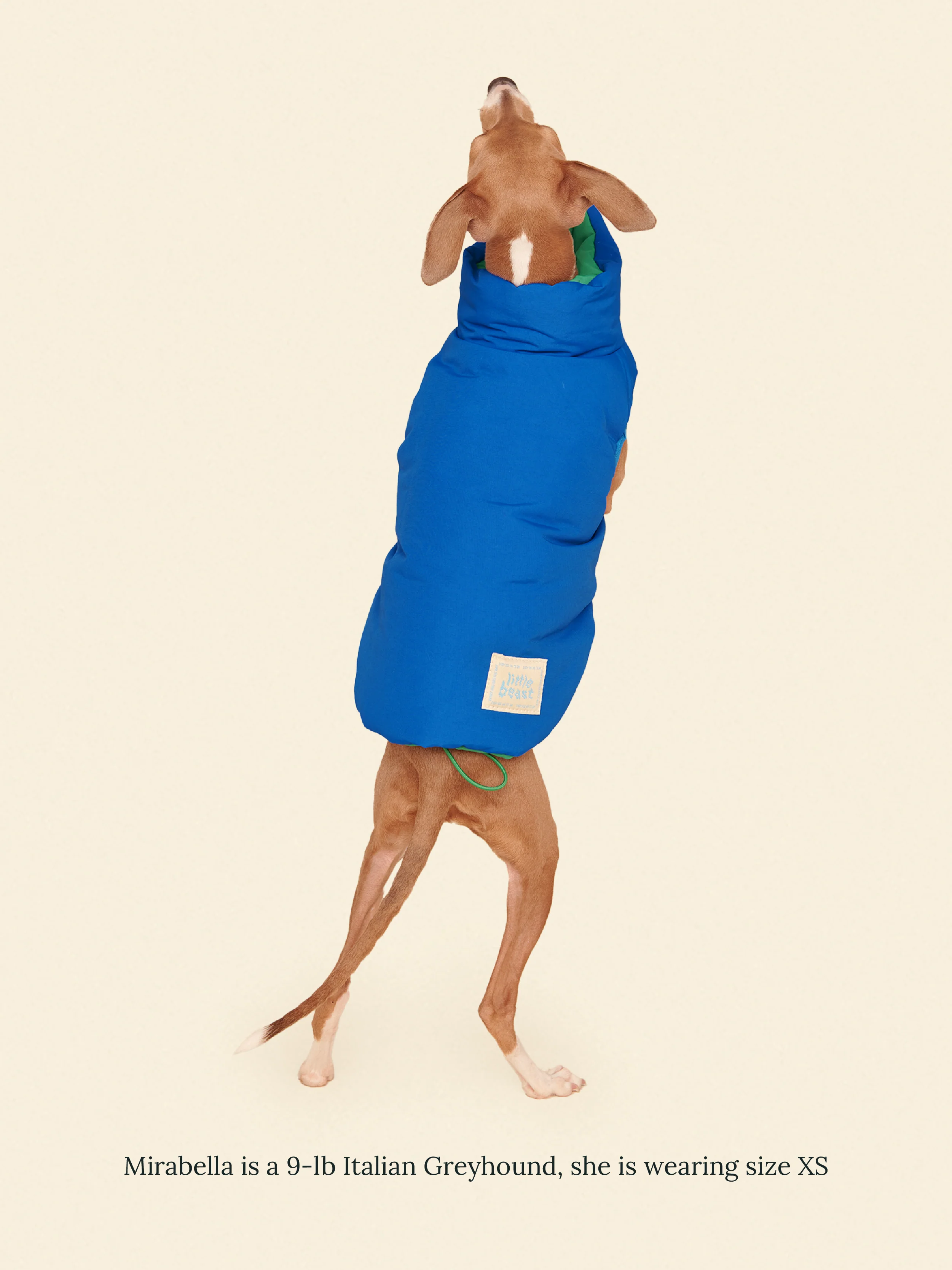 Product image 19