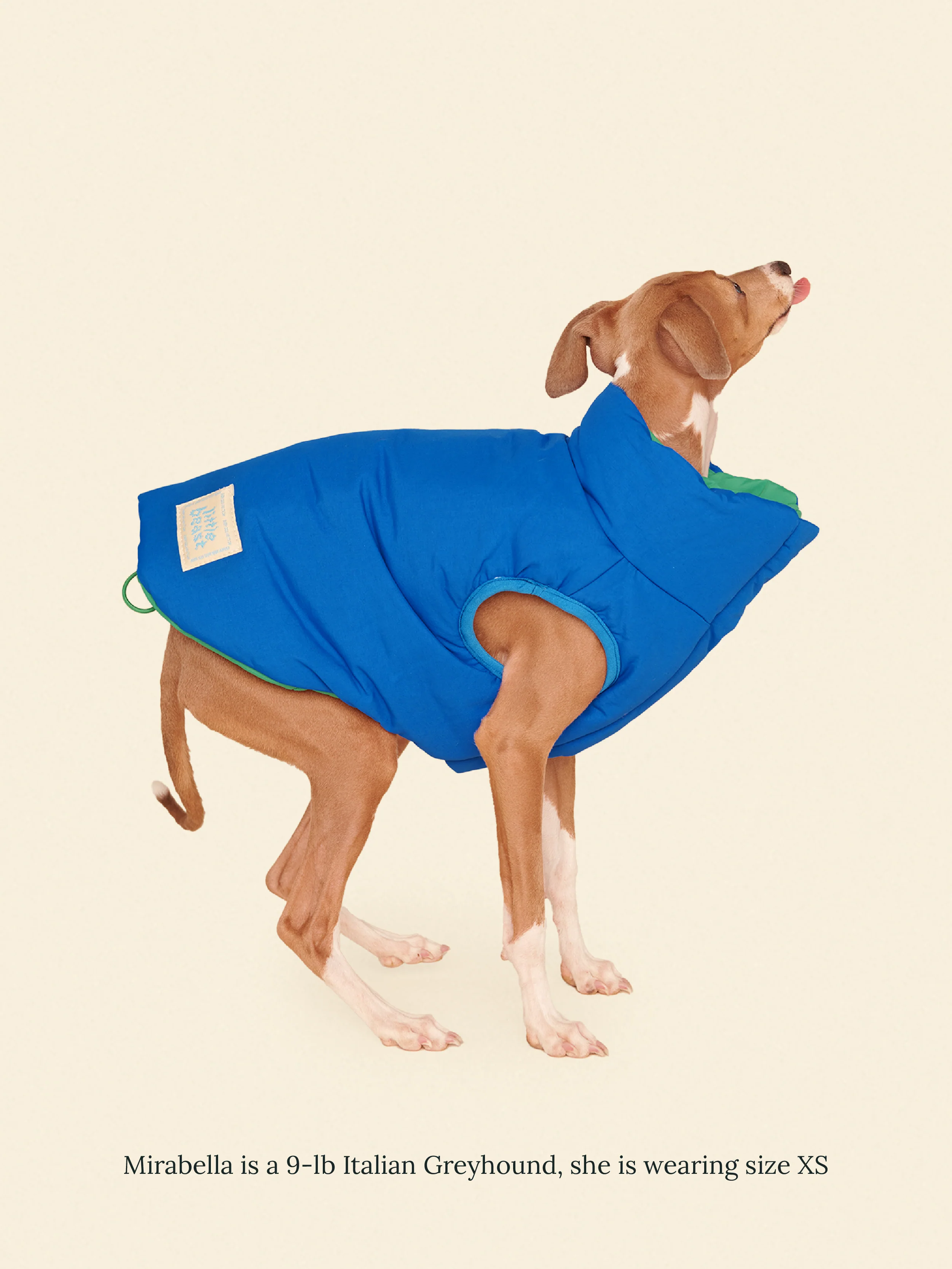 Product image 20