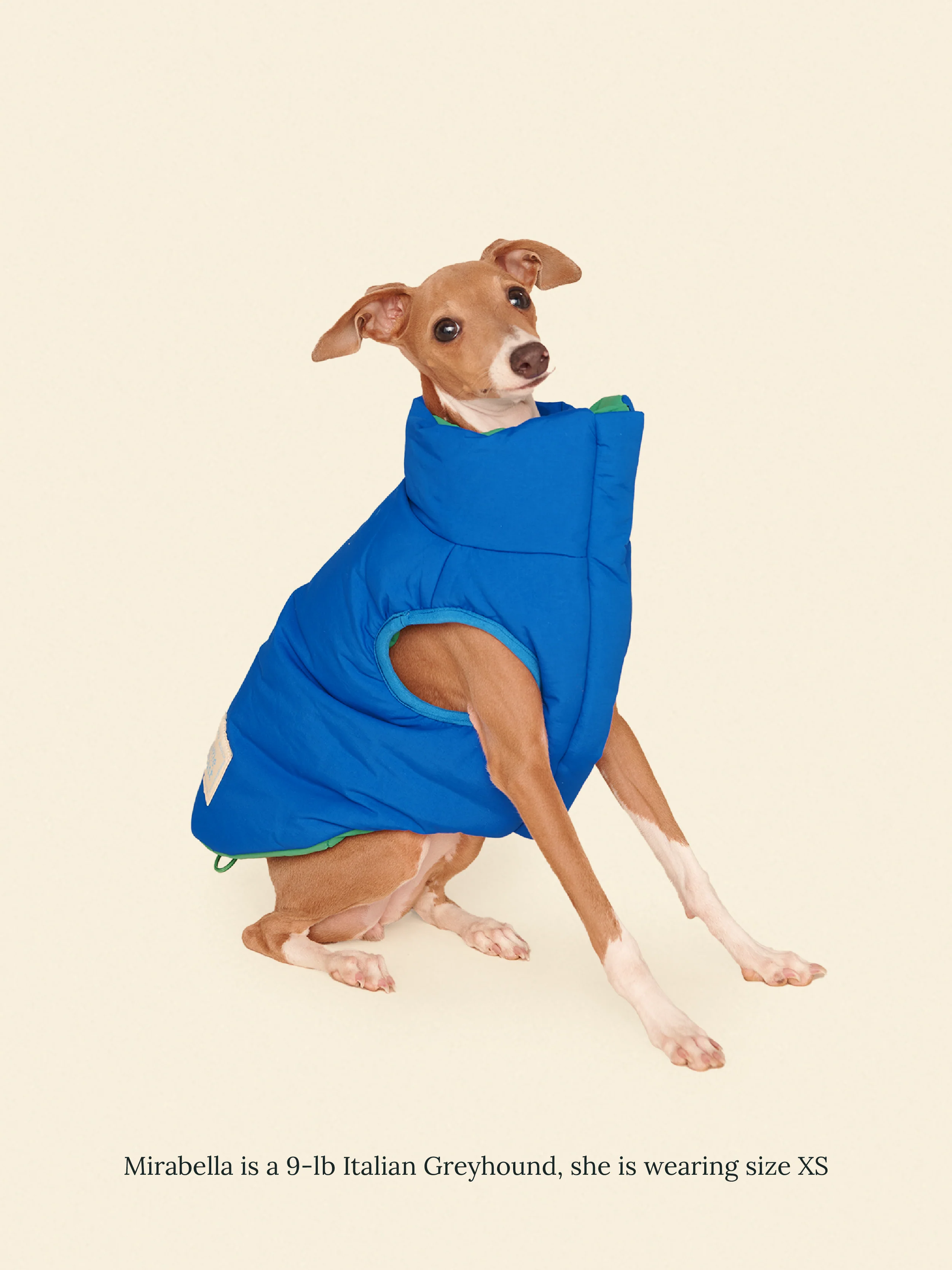 Product image 21