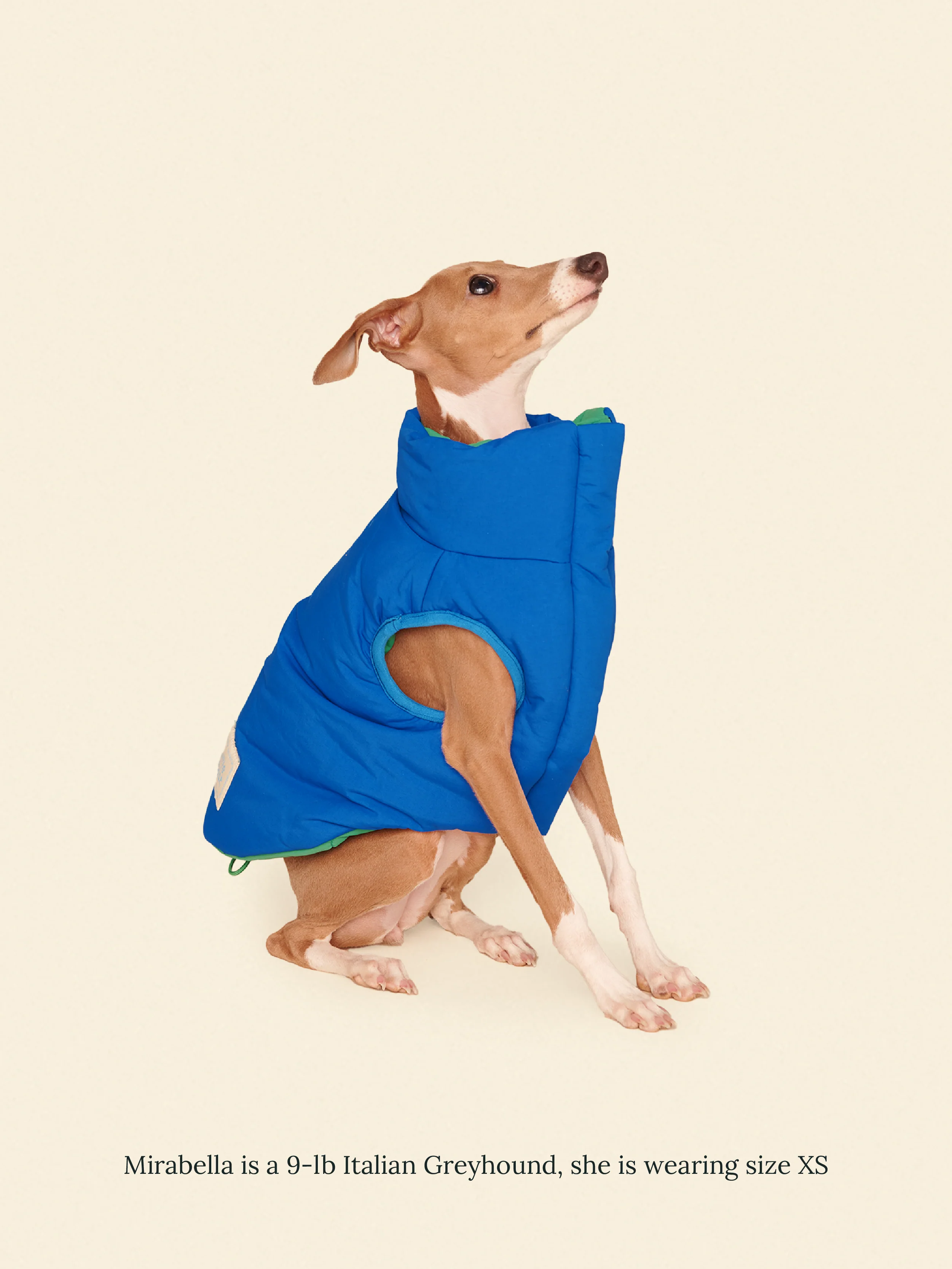 Product image 22
