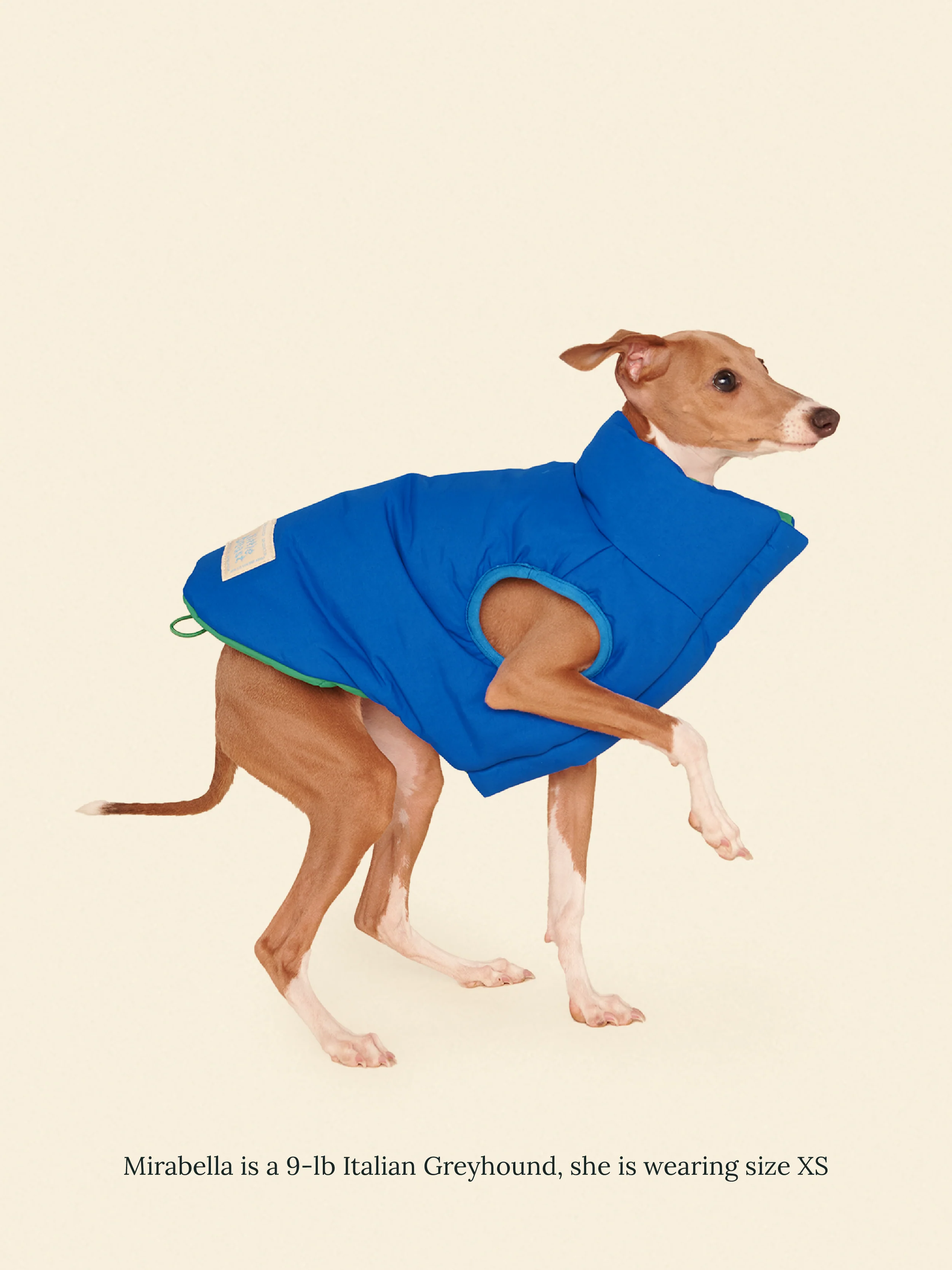 Product image 23