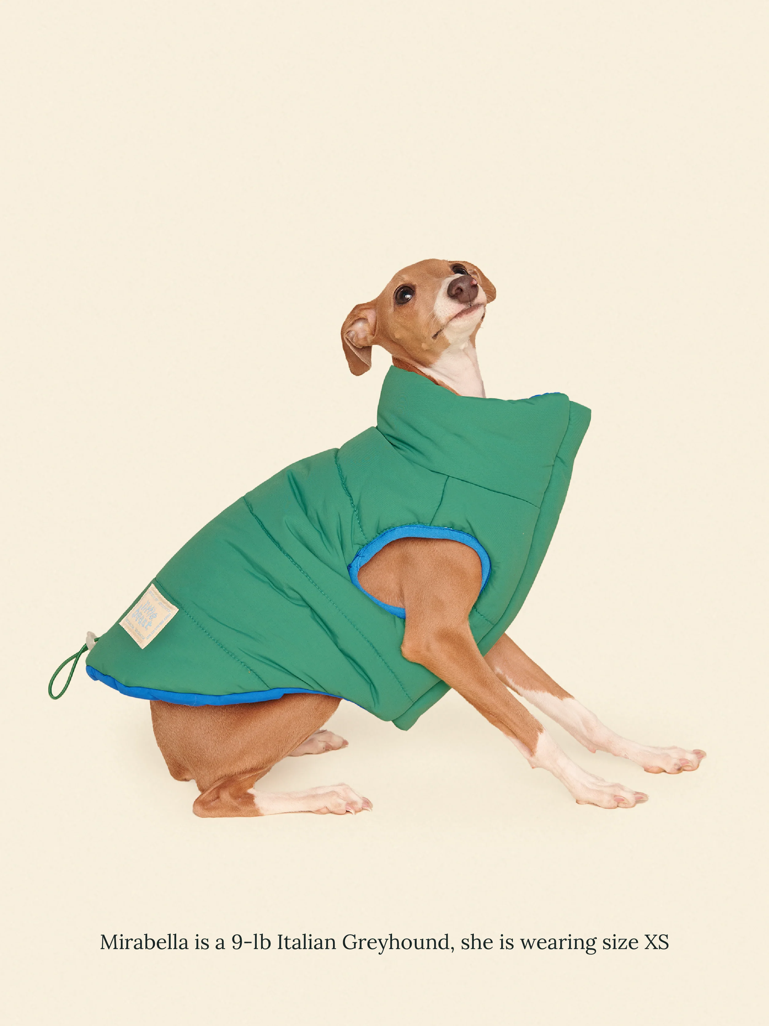Product image 24