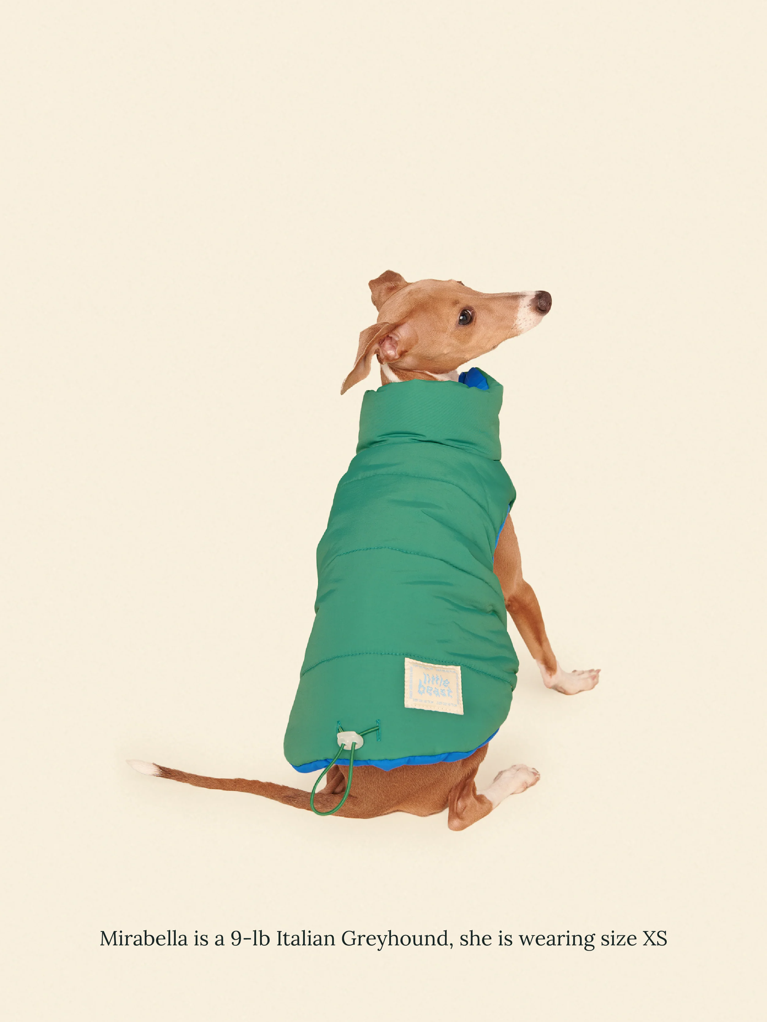 Product image 25